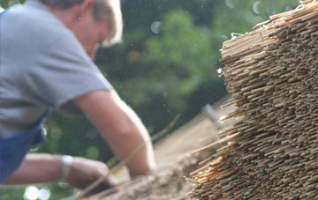 professional Herra thatchers